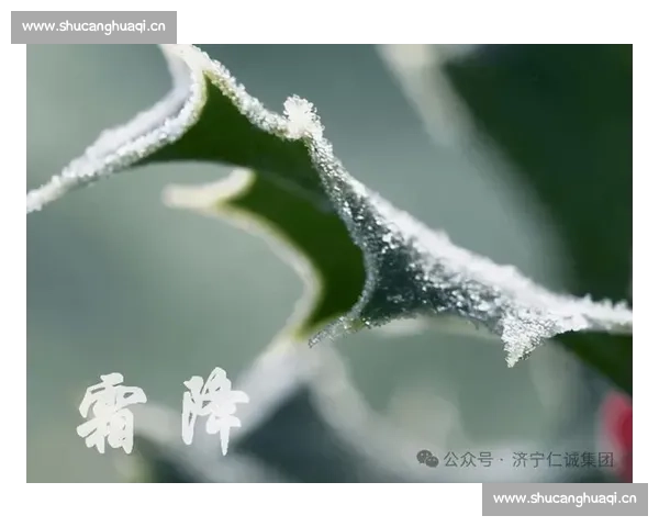 霜降时节:寒意渐浓,秋冬交替中的自然与文化之美